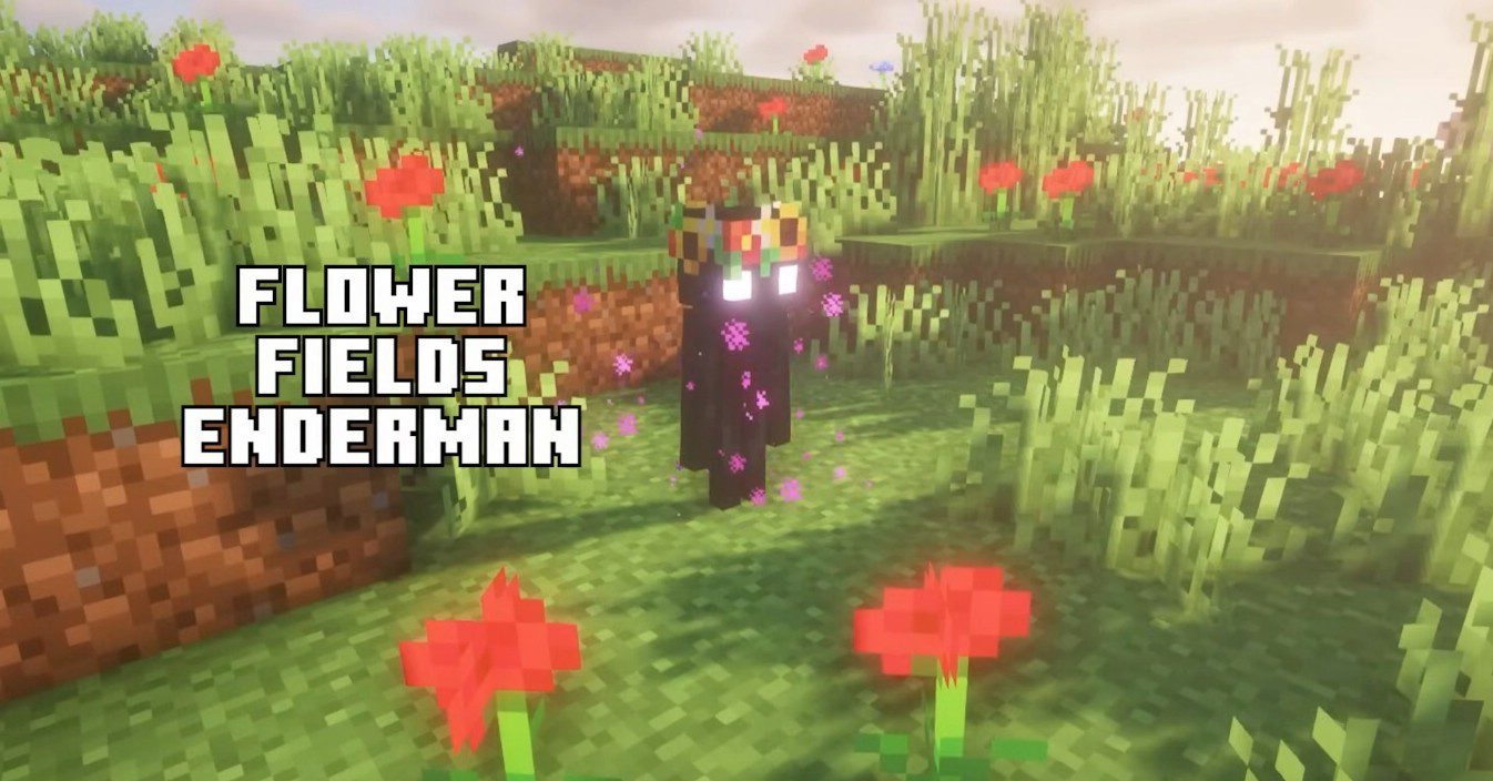 Enderman-Overhaul-Mod-Screenshots-5.jpg